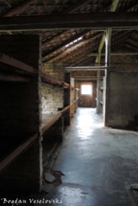 08. Auschwitz-Birkenau - Interior of a barrack