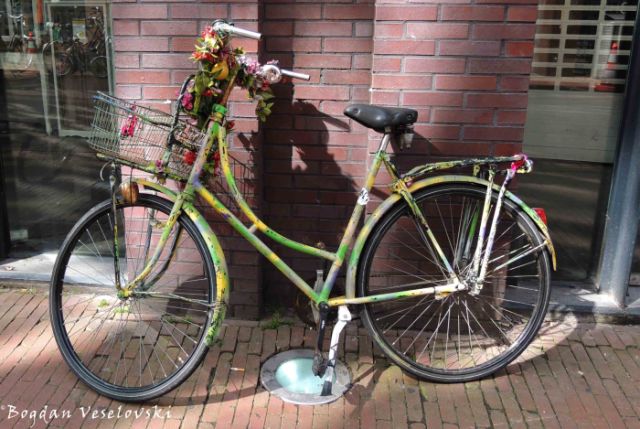 20. Hippie bike
