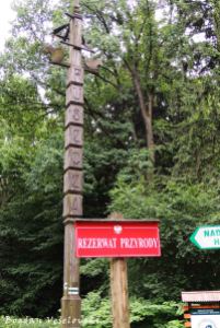 Białowieża Forest (Puszcza Białowieska)