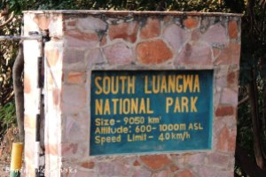 Zambia - South Luangwa National Park