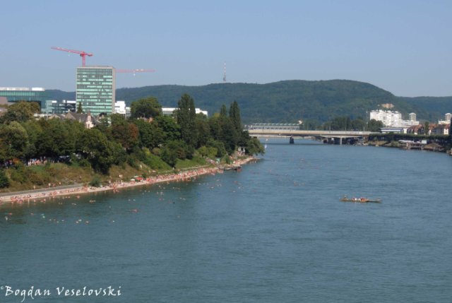 14. The Rhine