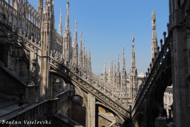46. Cathedral buttresses, flying buttresses and pinnacles