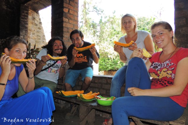 Papaya with new volunteers