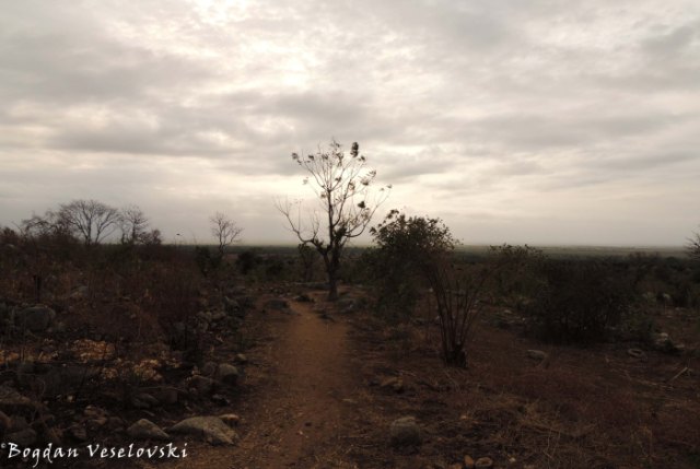 Chididi-Nsanje trekking road (through Mchacha)