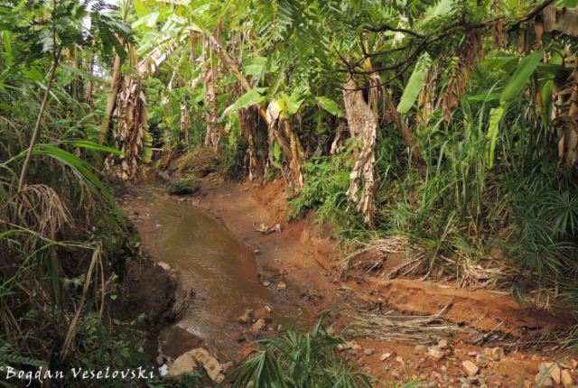 Boundary stream between Nyakamera and Kazingizi villages