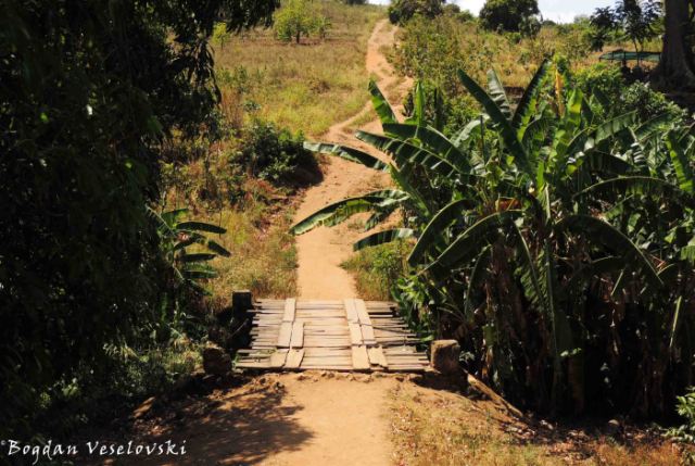 Bridge between Masimo and Mkutche villages