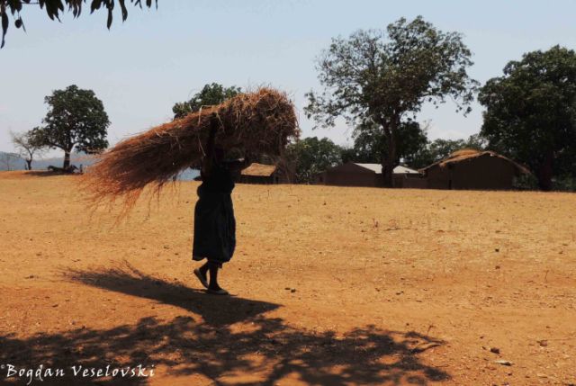 Carrying dried grass