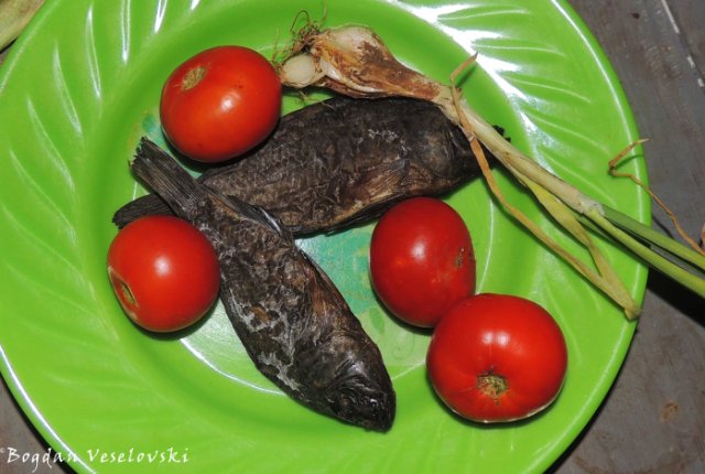 Fish, tomatoes & geeen onion