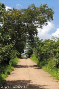 Road in Masimo