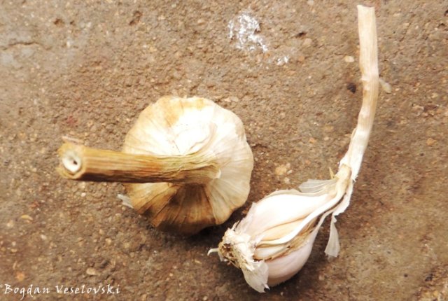 Adyo (garlic from Limbe)