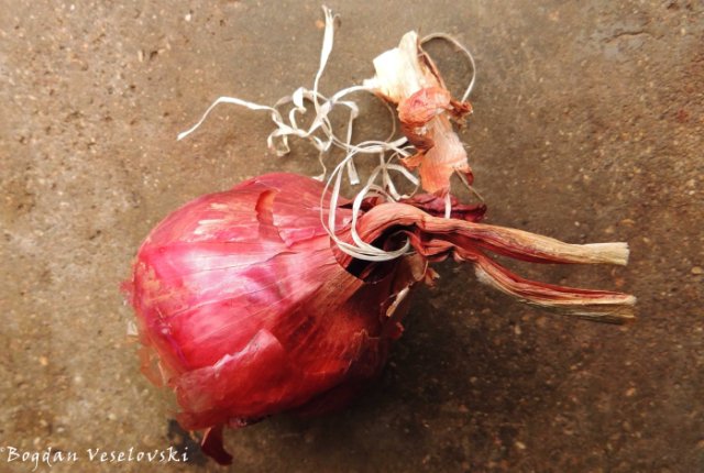 Anyezi (red onion)