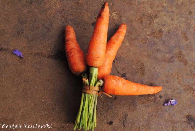 Makaloti (carrots from Limbe)