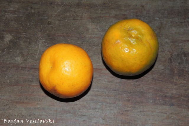 Manachesi (tangerines)