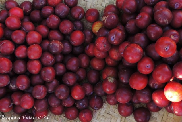 Nthengeni (wild plums in Limbe)