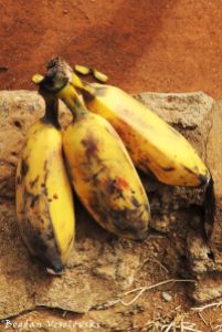 Nthochi (bananas in Mua)