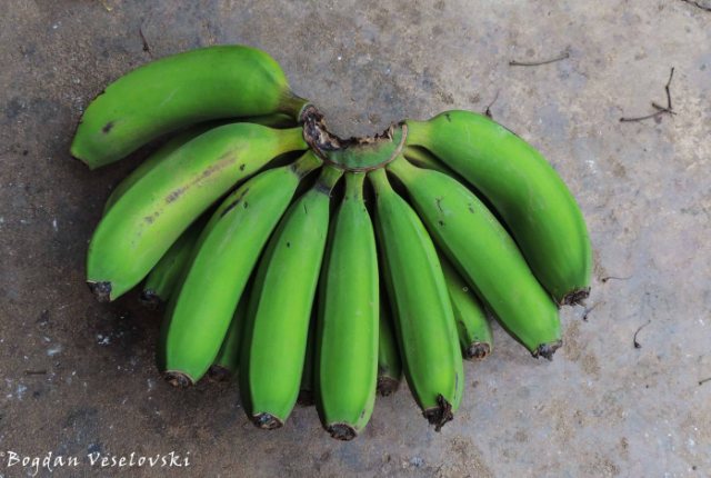 Nthochi (green bananas)