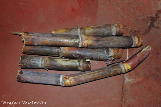 Nzimbe (sugar cane)