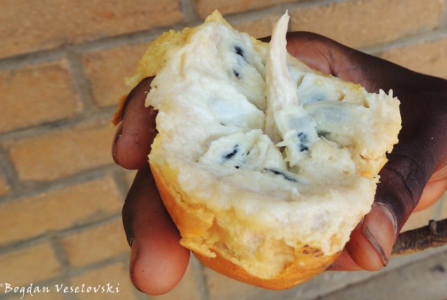 Phoza (African custard apple. annona senegalensis)