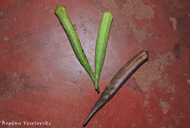 Therere (okra)