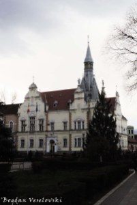 Caransebeș City Hall