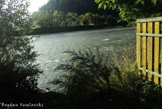 Bistrița River
