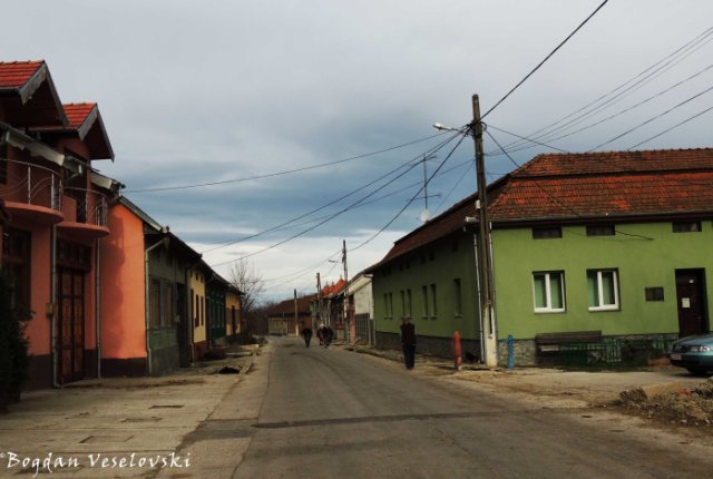 Borlova village