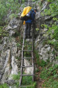 Ladder to Scărișoara