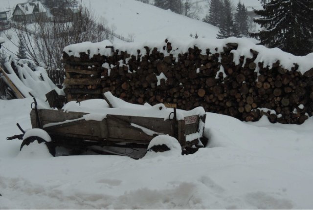 Firewood for winter