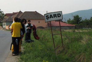 AB - Șard
