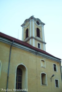Roman Catholic Church from the Fortress