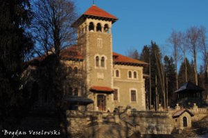 Castelul Cantacuzino, Bușteni (Cantacuzino Castle)