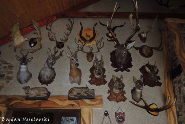 Hunting trophies at Safari Restaurant
