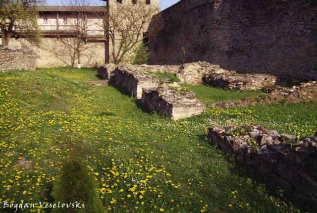 Ruins inside Probota Monastery