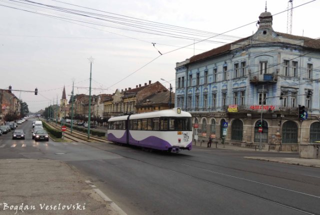 Tram in Timișora