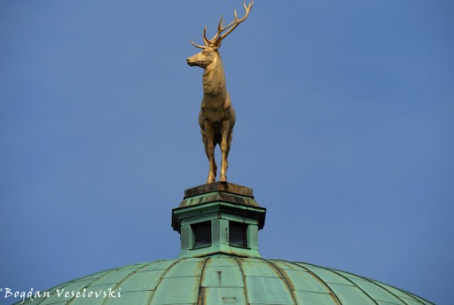 The Golden Stag of Dome of the Art