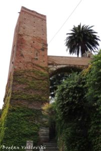 Torre-Porta Papona, Noli
