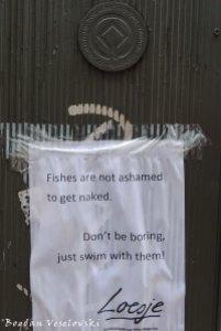 Fishes are not ashamed to get naked. Don't be boring, just swim with them!