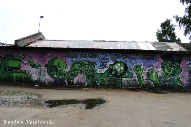 Street art - green graffiti - Kiwi & Saki - Visa laba Jāņa zāle, kas aug manā dārziņā!, Riga