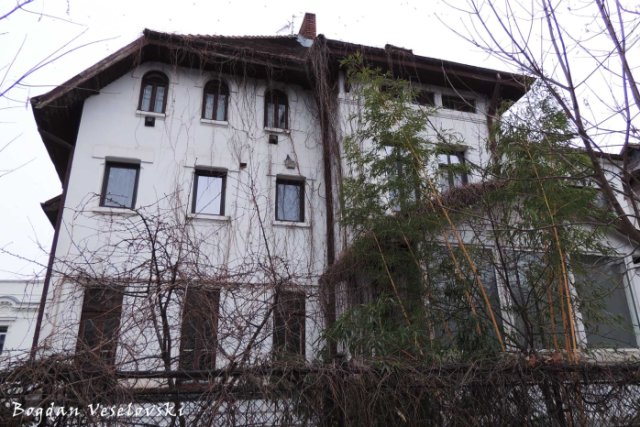 3, Dumbrava Roșie Str. - House seen from Ion Voicu Park / Ioanid Garden