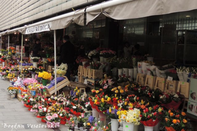 Amzei flower market, Bucharest