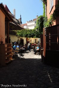 Street cafés in Tallinn