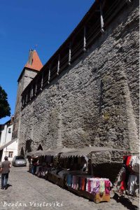 Tallinn city walls on Müürivahe stret