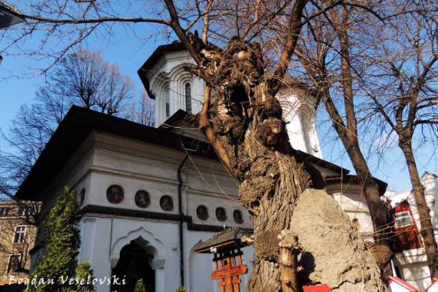 21, Batiștei Str. - Biserica Adormirea Sfintei Ana - Batiste (Dormition of Saint Anne Church, Bucharest, 1786 & 300 years old mulberry tree)