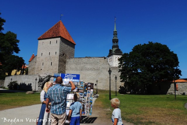 Tallinna linnamüür - Neitsitorn & Niguliste kirik (Walls of Tallinn - Virgin's Tower & St. Nicholas' Church, Tallinn)