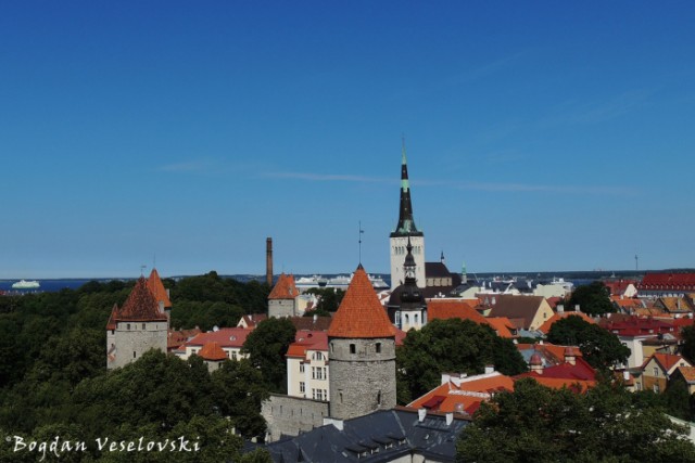 Tallinn Old City - city walls & St. Olaf’s Church