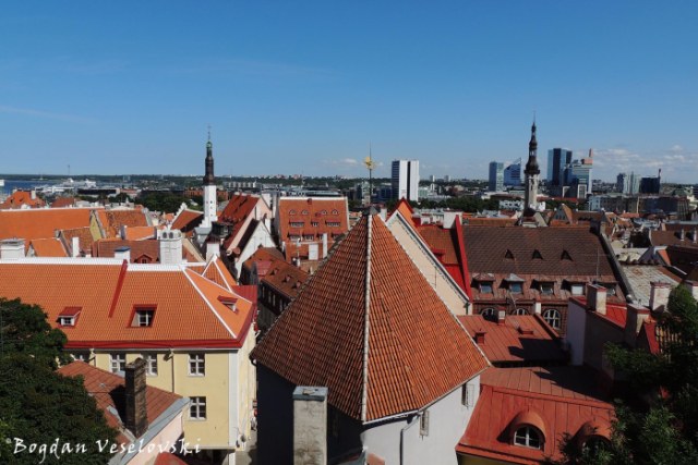 View of Tallinn Old City