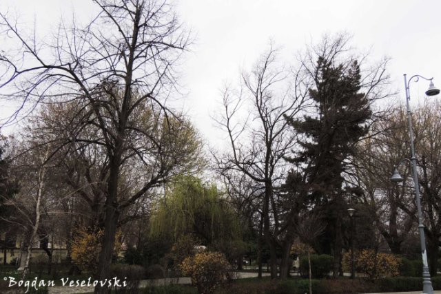 Nicolae Iorga Park, Bucharest