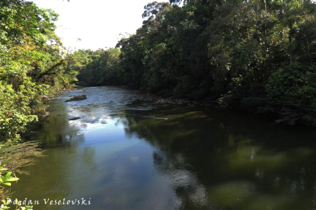 Macuma River