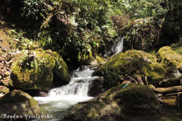Cascadas de Umpuankas (Umpuankas Waterfalls)