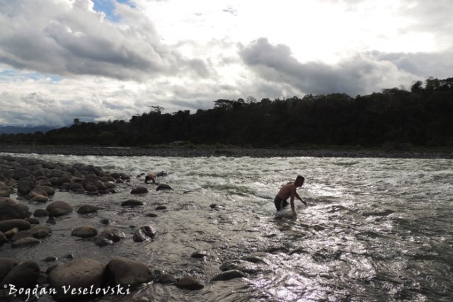 Barehand fishing in the Upano River